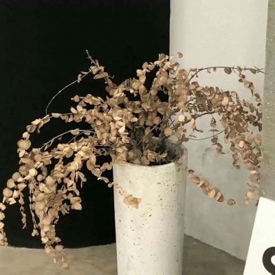 Furry插画构图灵感FurryQQ群